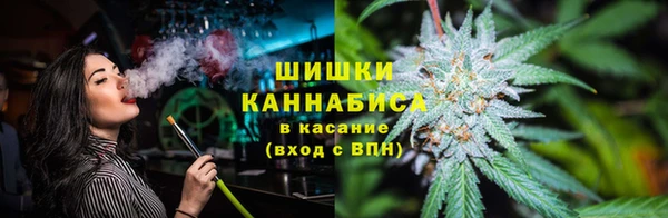 ГАЛЛЮЦИНОГЕННЫЕ ГРИБЫ Баксан