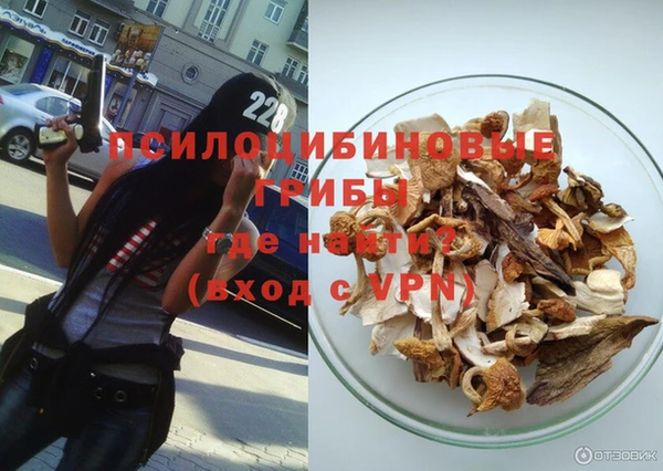 ГАЛЛЮЦИНОГЕННЫЕ ГРИБЫ Баксан