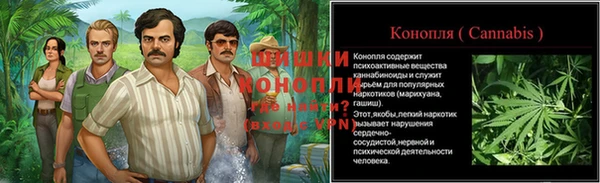 ГАЛЛЮЦИНОГЕННЫЕ ГРИБЫ Баксан