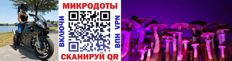 дарк нет наркотические препараты  Усмань  Галлюциногенные грибы прущие грибы  магазин   
